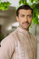 Picture of Dilafroze