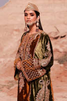 Picture of Chak 77 Janoobi