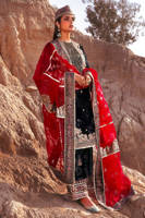 Picture of Chak Kot Qadir