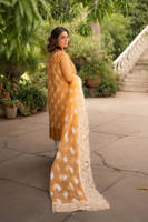 Picture of Hadiyya Aazer in Nargis Ka Phool