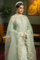 Picture of Star Gazer