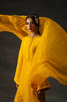 Picture of Iqbal Bano