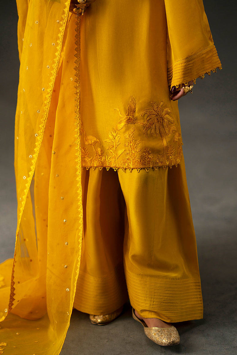 Picture of Iqbal Bano