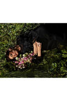 Picture of Black Broncho