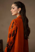 Picture of Paprika Spice