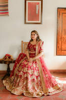 Picture of Rabia Jabbar in Bia Jaan