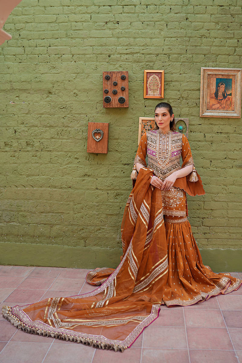 Picture of Zainab Reza in Ranjish