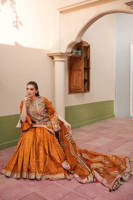 Picture of Zainab Reza in Ranjish