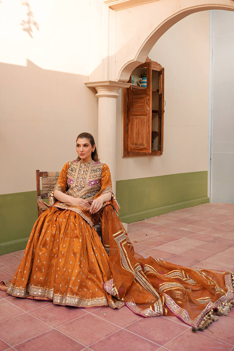 Picture of Zainab Reza in Ranjish