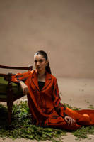 Picture of Paprika Spice