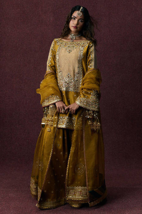 Picture of Bahar Begum