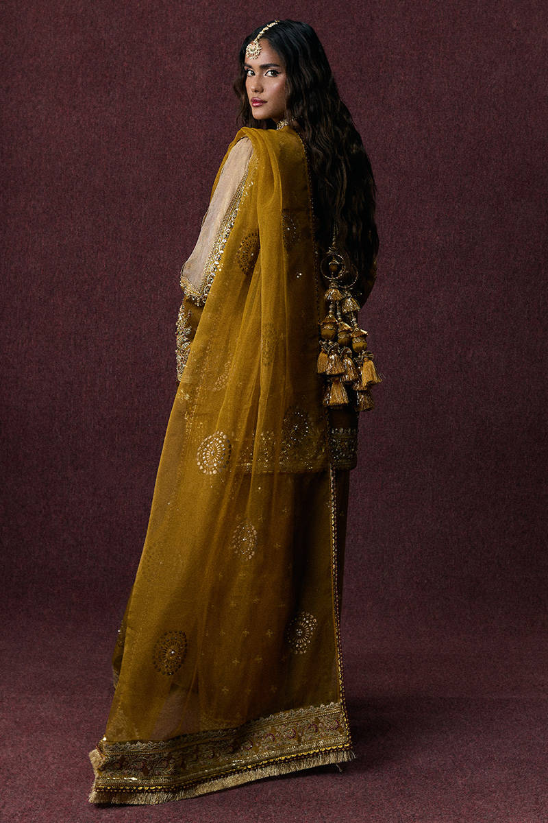 Picture of Bahar Begum