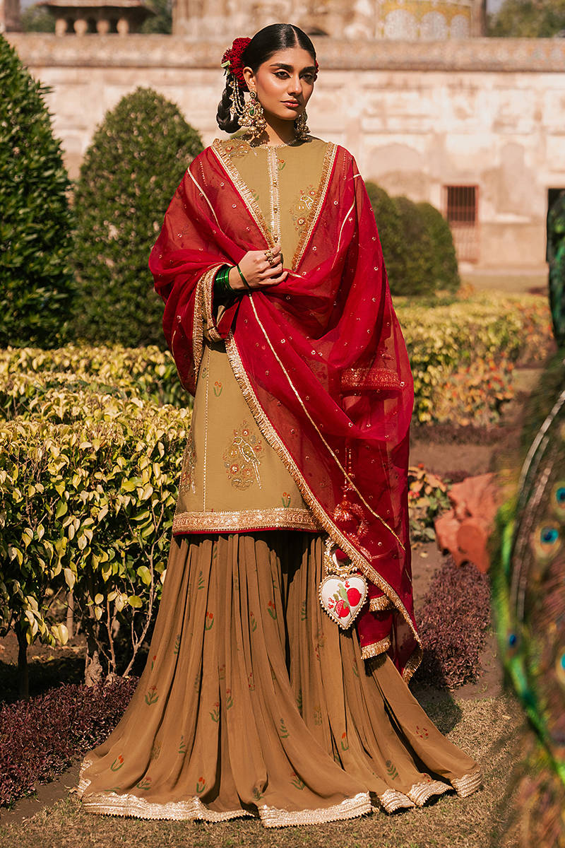 Picture of Noor e Dastaan